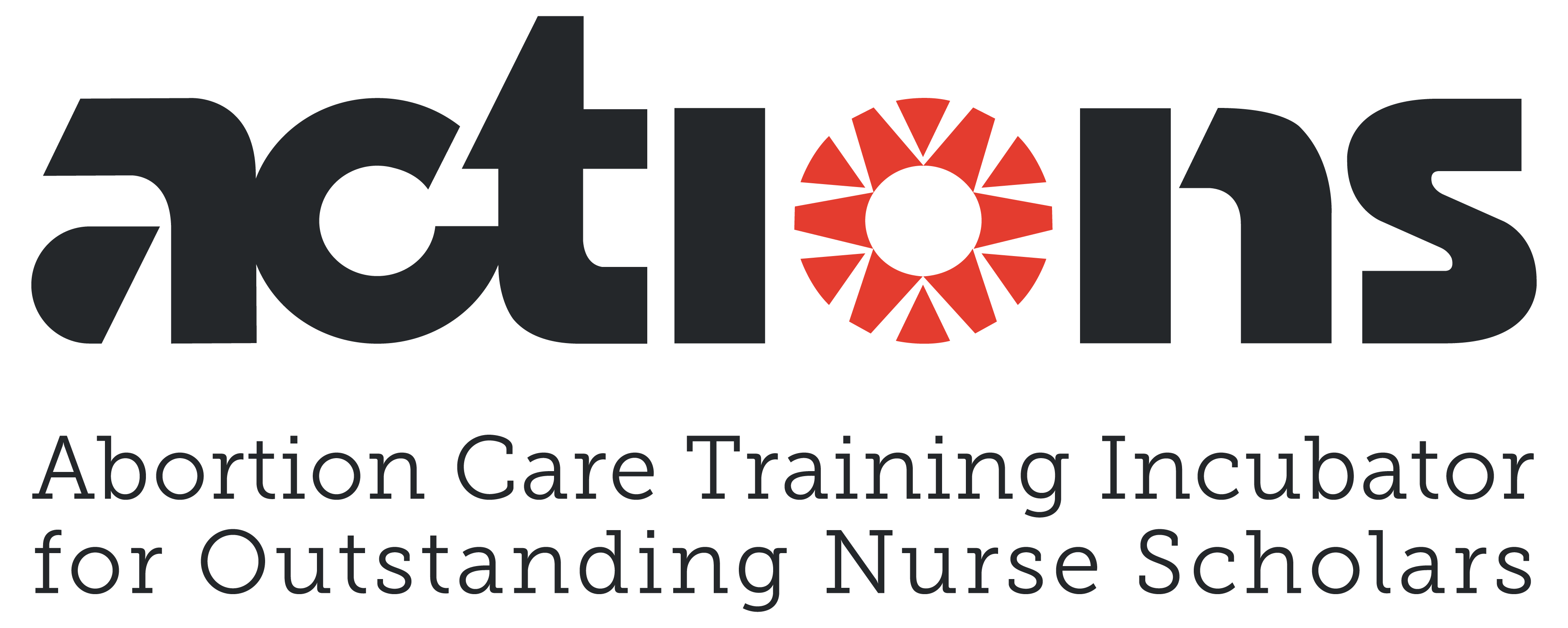 Abortion Care Training Incubator for Outstanding Nurse Scholars homepage